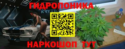 стаф Моздок