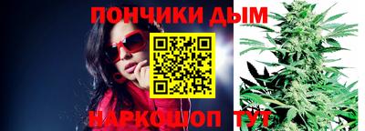 стаф Моздок