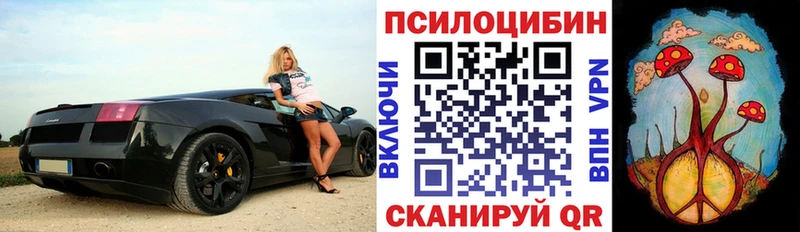купить   Севастополь  Галлюциногенные грибы GOLDEN TEACHER 