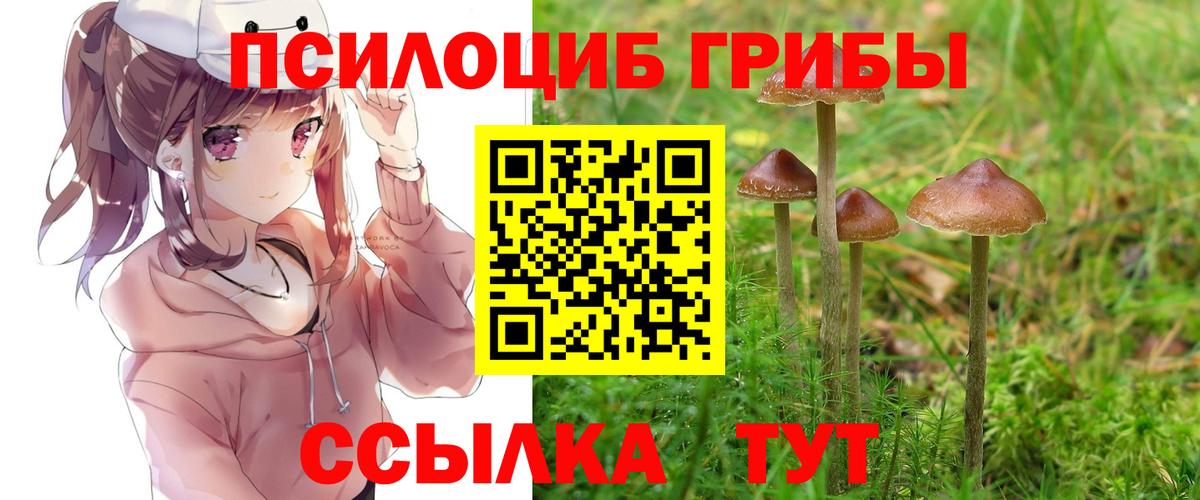 Севастополь  Псилоцибиновые грибы Cubensis  Галлюциногенные грибы прущие грибы  Вход с VPN 