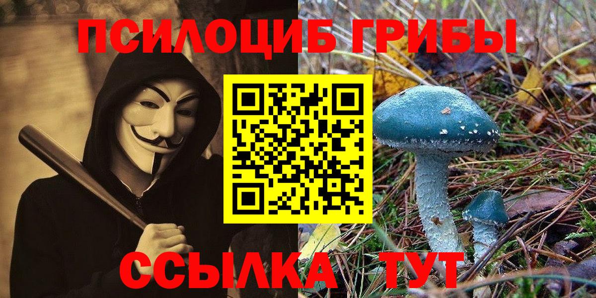 Псилоцибиновые грибы мицелий Севастополь